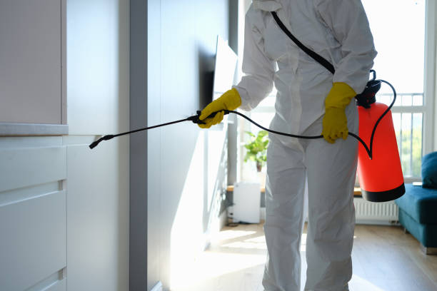 Best Crawl Space Mold Remediation in Chalmette, LA