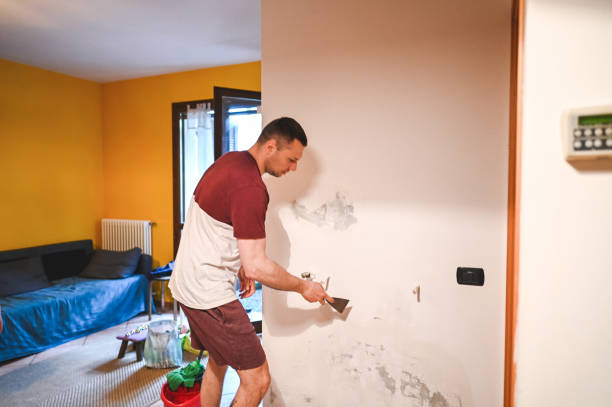 Best HVAC Mold Remediation in Chalmette, LA
